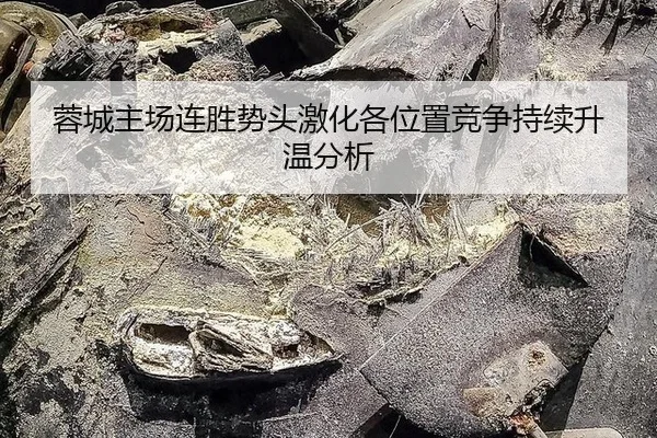 蓉城主场连胜势头激化各位置竞争持续升温分析
